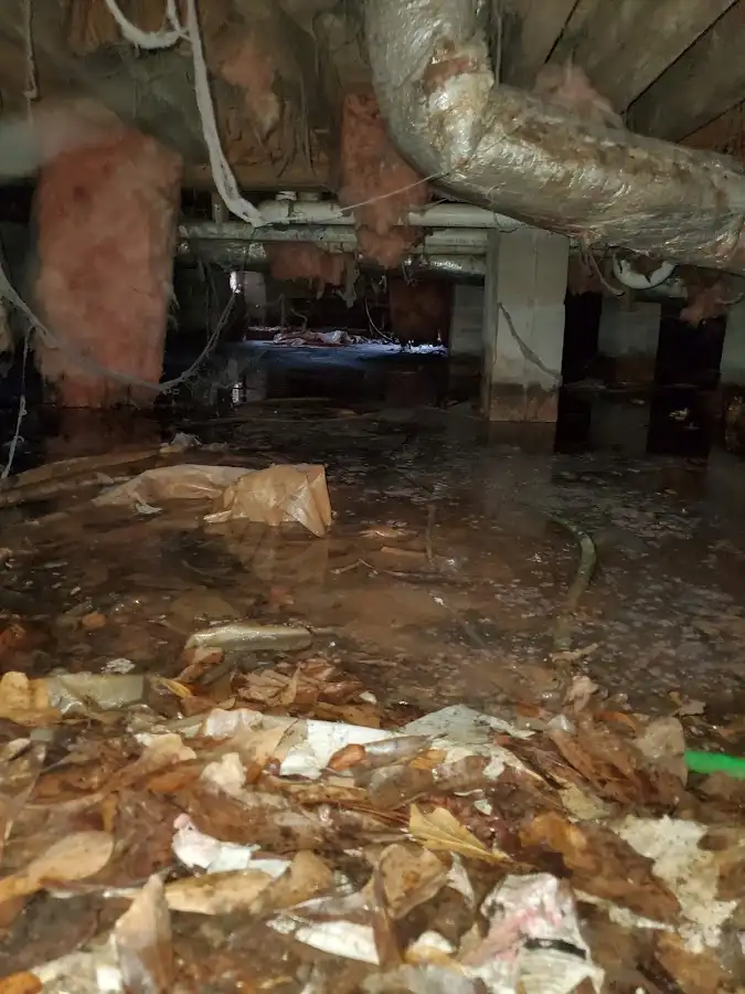 Crawl space flood assessment for Commercial Water Damage Restoration in Sans Souci